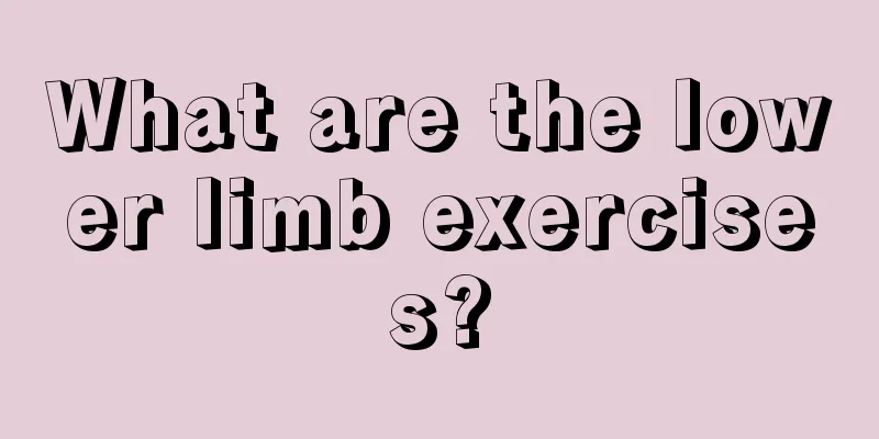 What are the lower limb exercises?