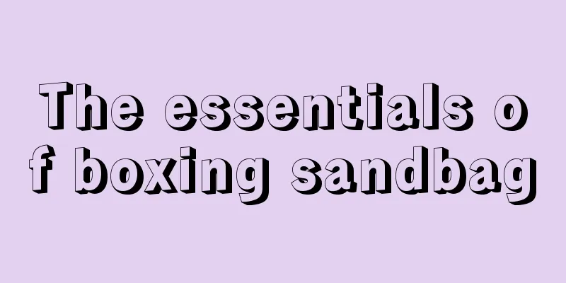 The essentials of boxing sandbag