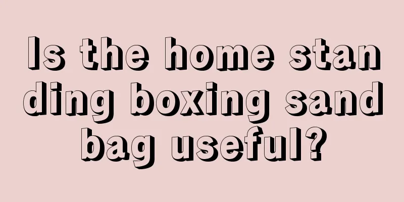 Is the home standing boxing sandbag useful?