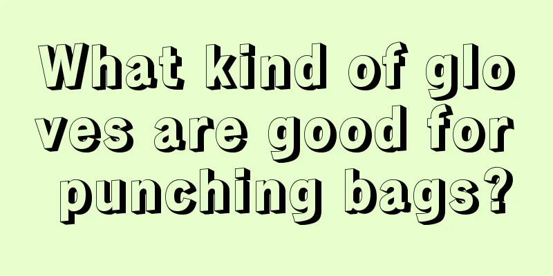 What kind of gloves are good for punching bags?