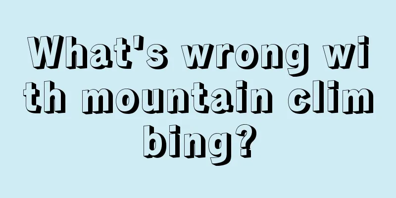 What's wrong with mountain climbing?