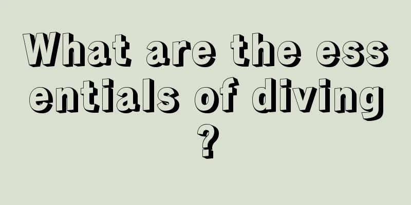 What are the essentials of diving?