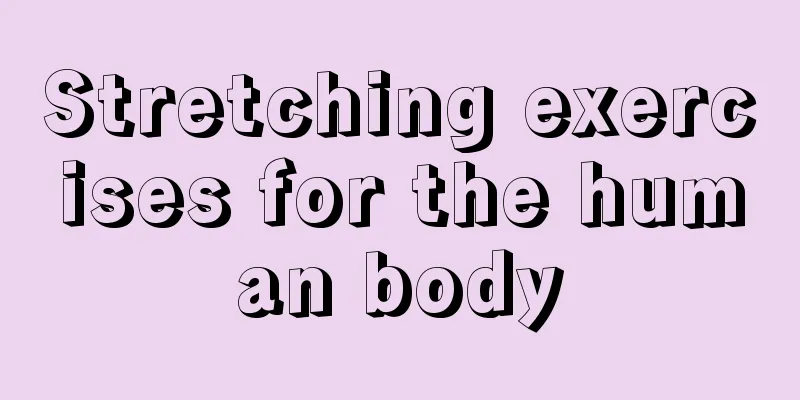 Stretching exercises for the human body