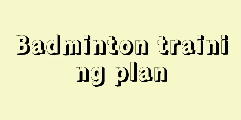 Badminton training plan