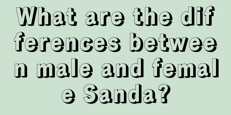 What are the differences between male and female Sanda?