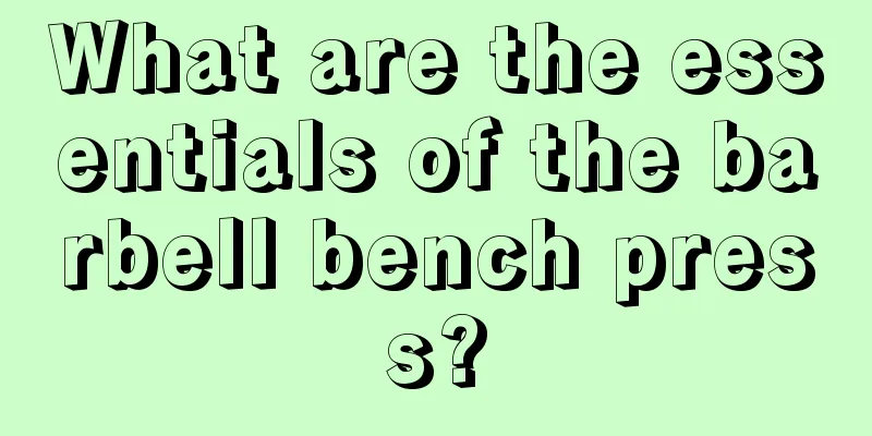 What are the essentials of the barbell bench press?