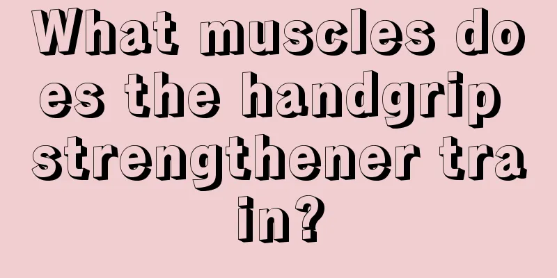 What muscles does the handgrip strengthener train?