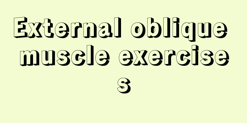 External oblique muscle exercises