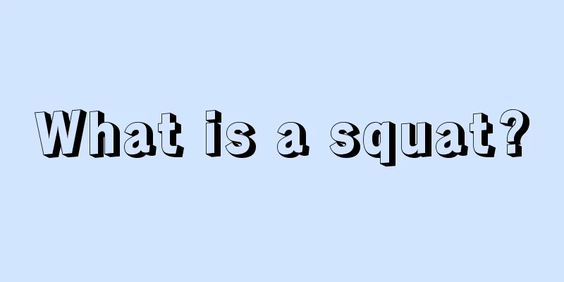 What is a squat?