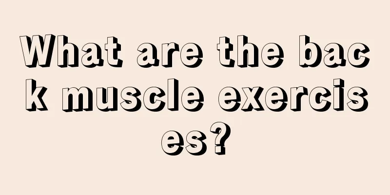 What are the back muscle exercises?