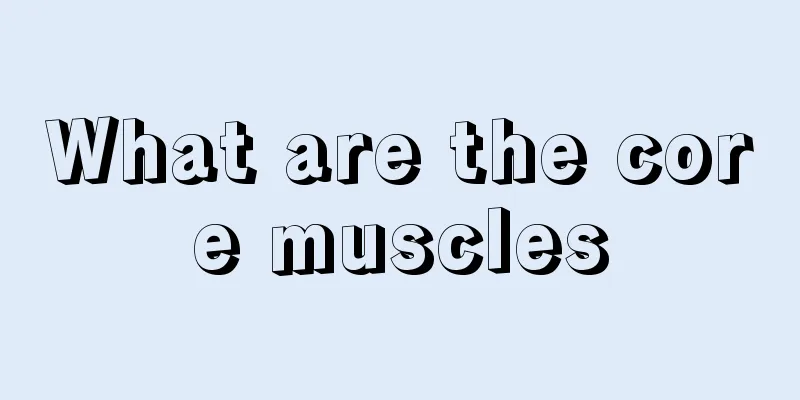 What are the core muscles