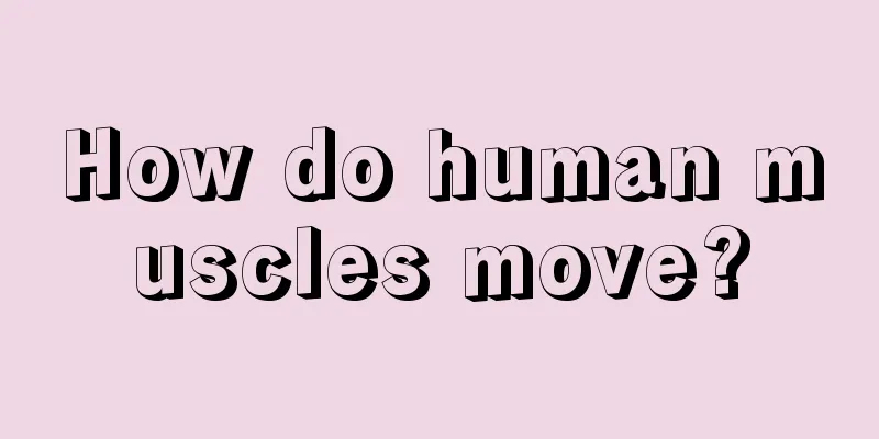 How do human muscles move?