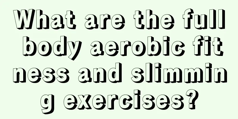 What are the full body aerobic fitness and slimming exercises?