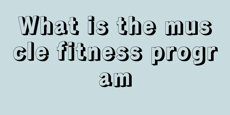 What is the muscle fitness program