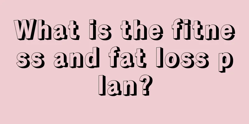 What is the fitness and fat loss plan?