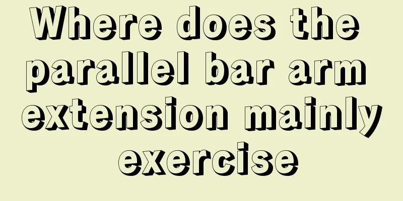 Where does the parallel bar arm extension mainly exercise