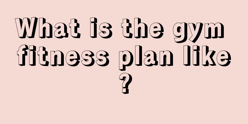 What is the gym fitness plan like?