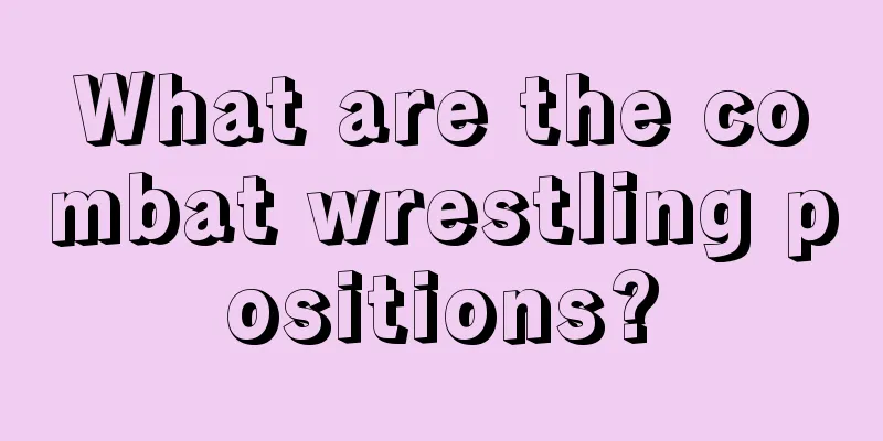 What are the combat wrestling positions?