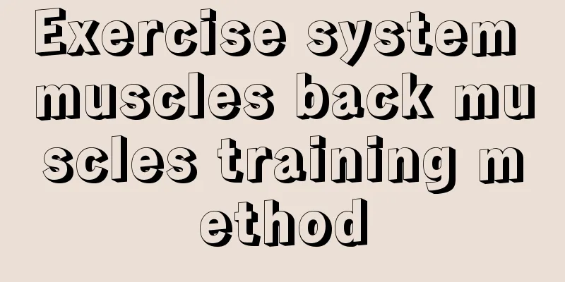 Exercise system muscles back muscles training method