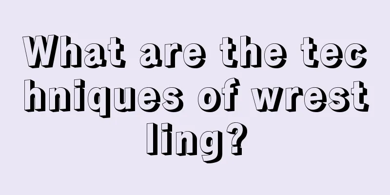 What are the techniques of wrestling?