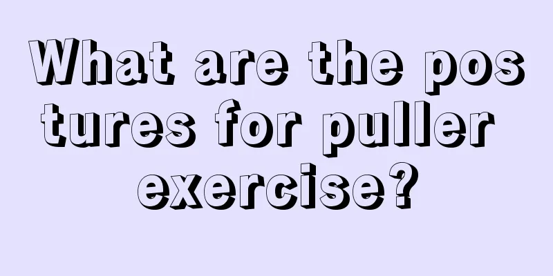 What are the postures for puller exercise?