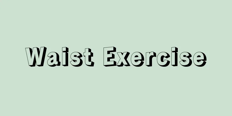 Waist Exercise