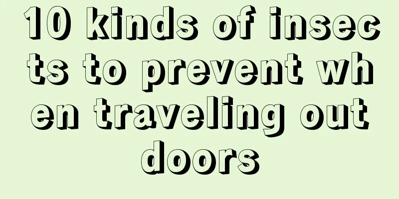 10 kinds of insects to prevent when traveling outdoors