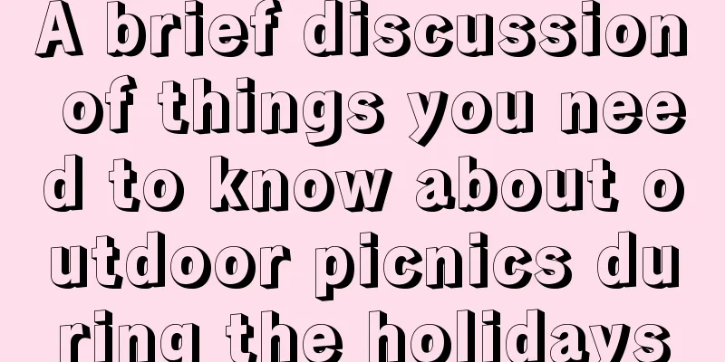 A brief discussion of things you need to know about outdoor picnics during the holidays