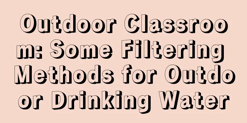 Outdoor Classroom: Some Filtering Methods for Outdoor Drinking Water