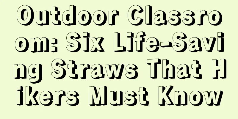 Outdoor Classroom: Six Life-Saving Straws That Hikers Must Know