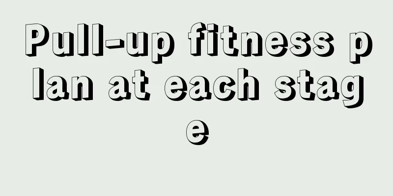 Pull-up fitness plan at each stage