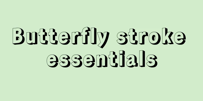 Butterfly stroke essentials