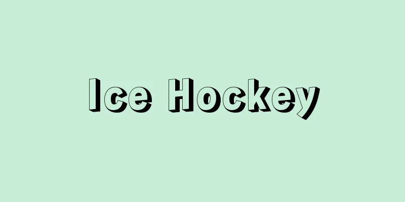 Ice Hockey