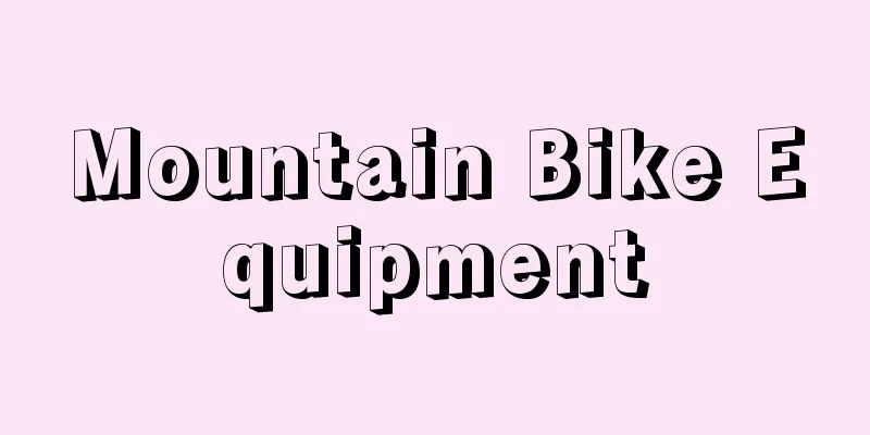 Mountain Bike Equipment