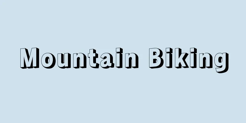 Mountain Biking