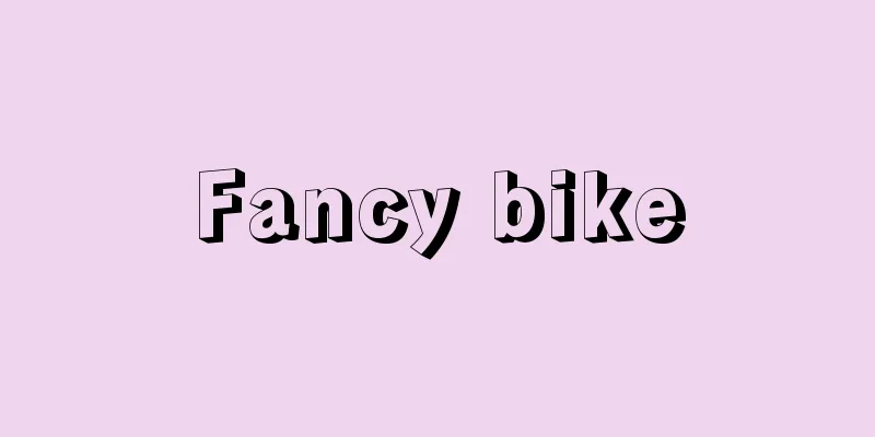 Fancy bike