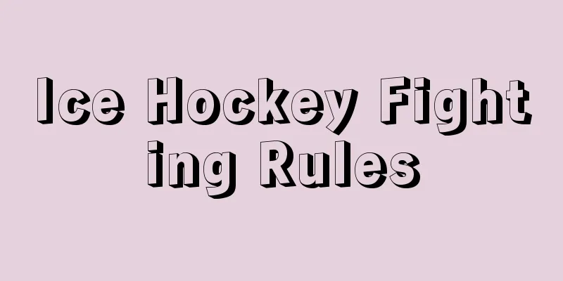 Ice Hockey Fighting Rules