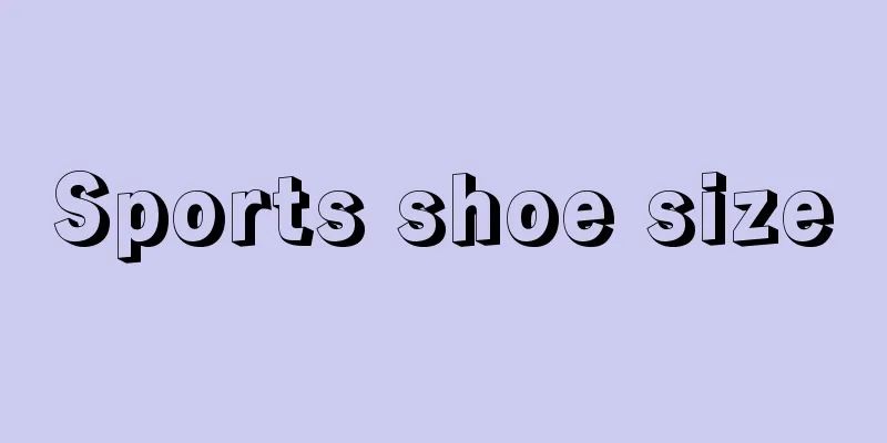 Sports shoe size