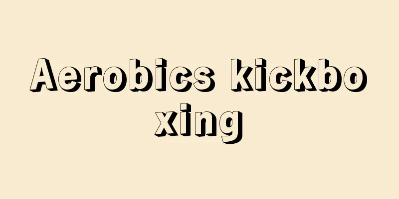 Aerobics kickboxing