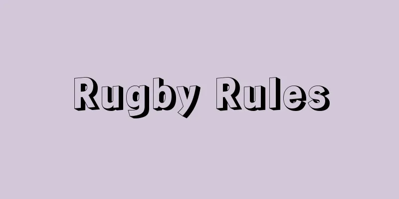 Rugby Rules