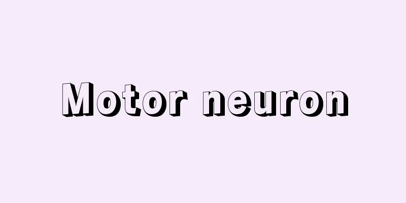 Motor neuron