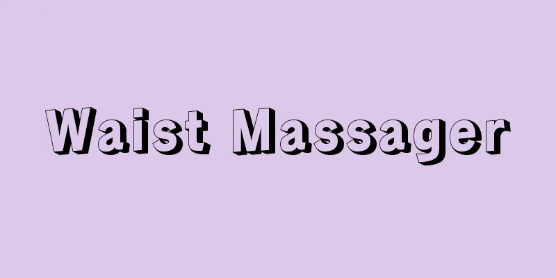 Waist Massager