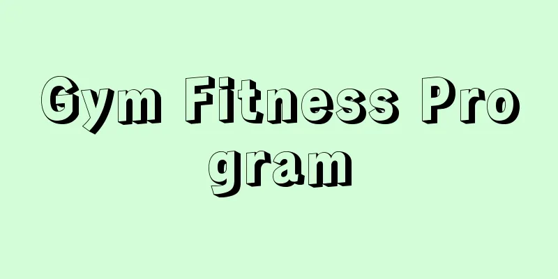 Gym Fitness Program