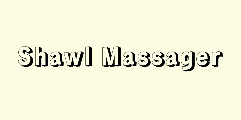 Shawl Massager